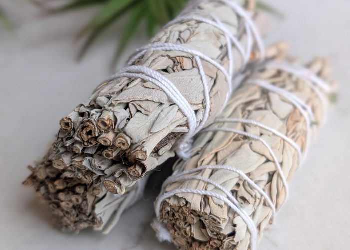 White Buffalo Sage 4
