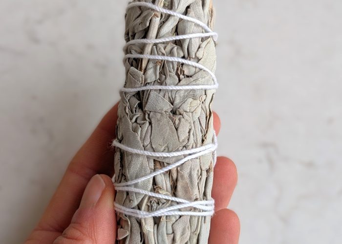 White Buffalo Sage 5