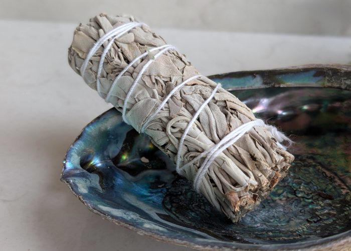 White Buffalo sage 1