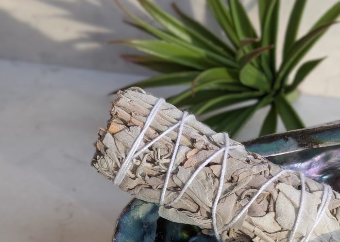 White buffalo sage 6